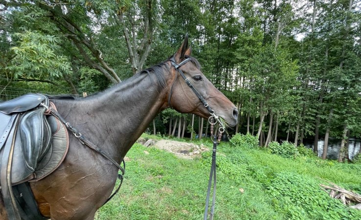 działka na sprzedaż - Szydłowo (gw), Tarnowo